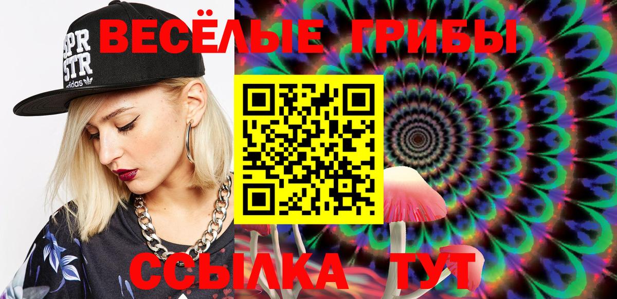 Псилоцибиновые грибы Psilocybine cubensis Аргун