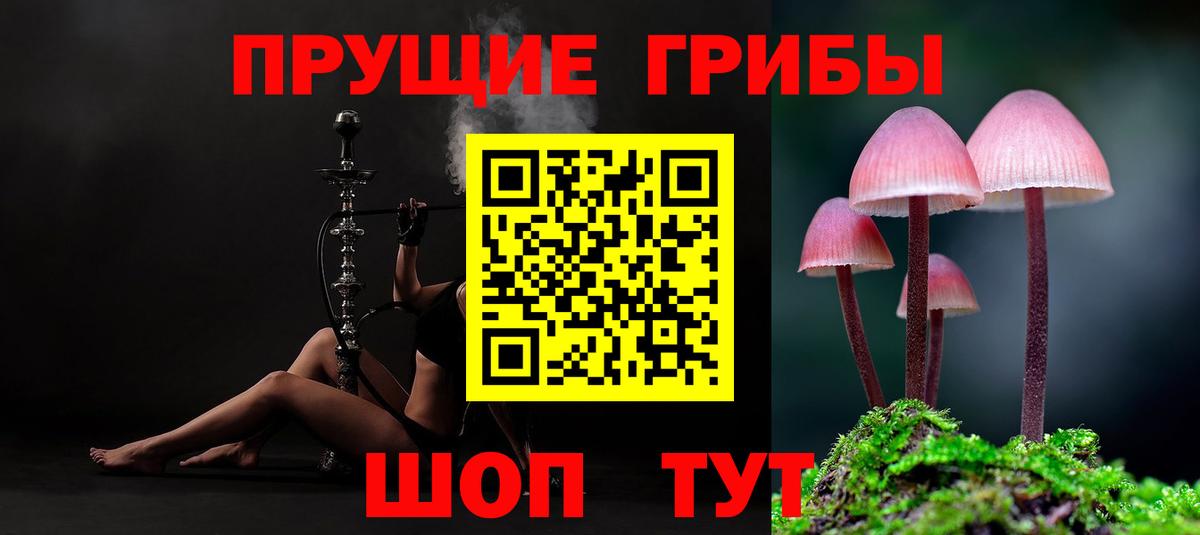 Галлюциногенные грибы Psilocybe  Вход с VPN  Псилоцибиновые грибы GOLDEN TEACHER  Аргун 